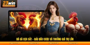 Đá Gà Cựa Sắt – Giải Đấu Cược Và Thưởng Giá Trị Lớn